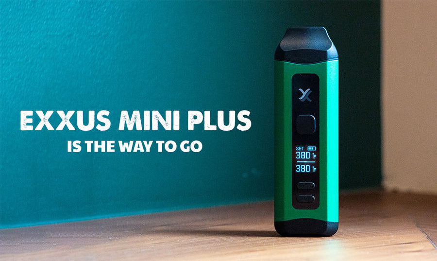 Produkt-Spotlight: Exxus Mini Plus für Ihre trockenen Kräuter 