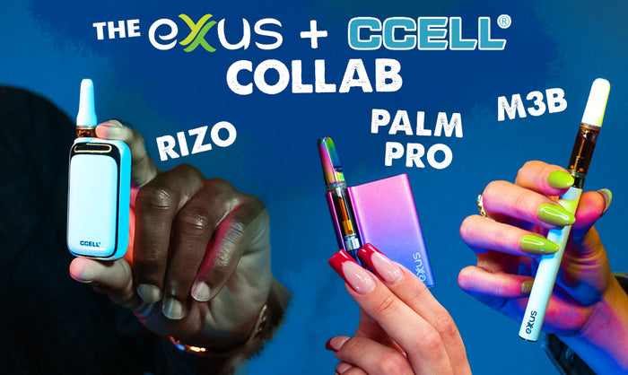 La colaboración de Exxus y Ccell: Presentación de Palm Pro, Rizo y M3b