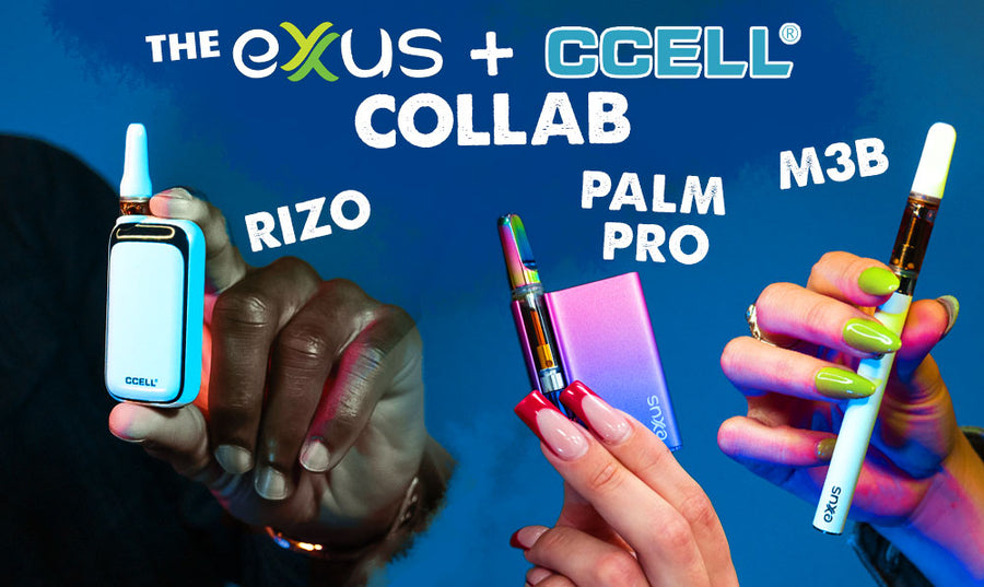 Die Zusammenarbeit von Exxus und Ccell: Vorstellung von Palm Pro, Rizo und M3b