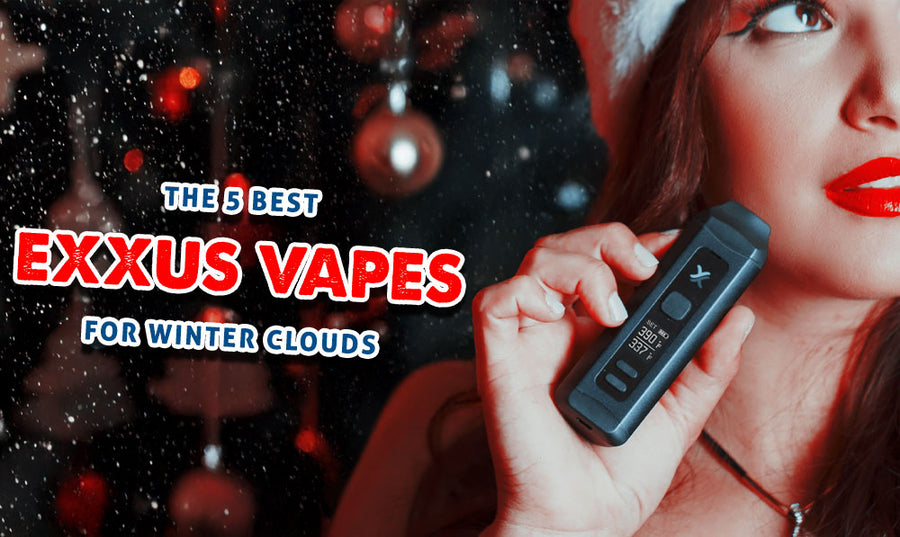 Die 5 besten Exxus Vapes für Winterwolken 