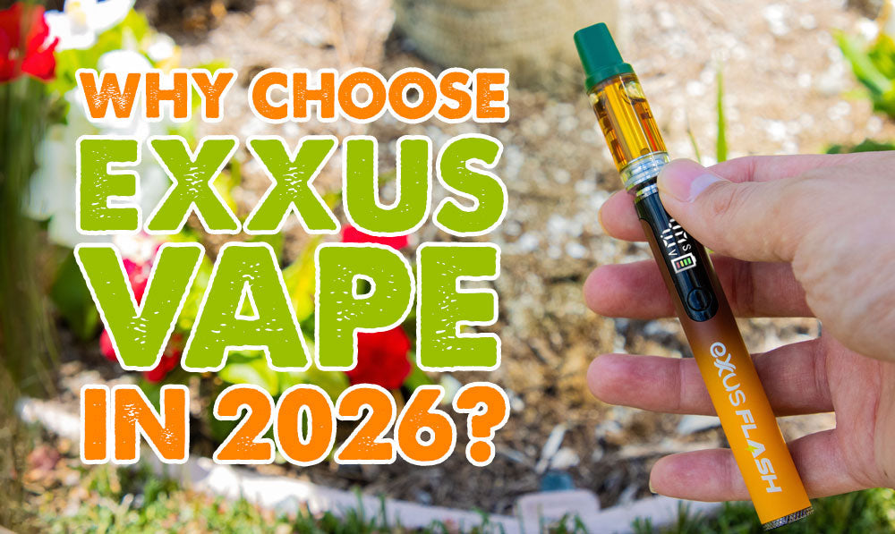 headline text with Exxus Flash 510 Battery on floral background