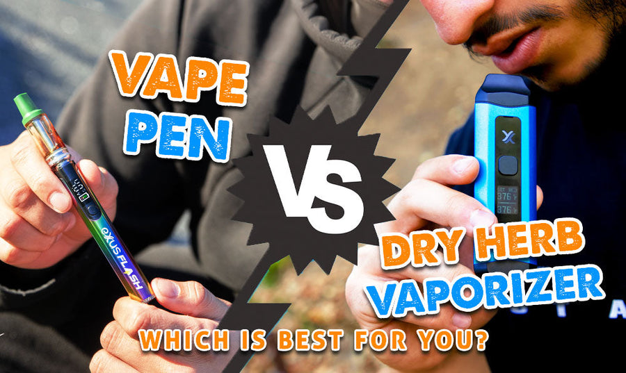 Vape Pen vs. Dry Herb Vaporizer: Was ist das Richtige für Sie?